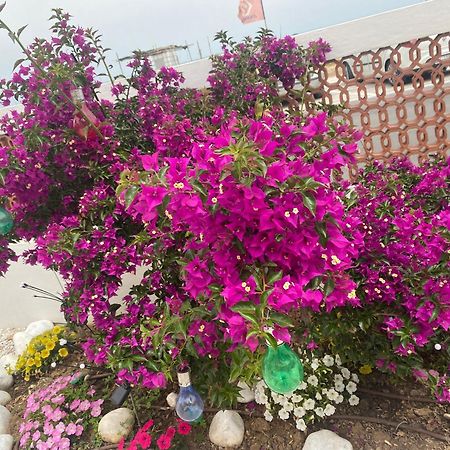 Maison Armandi 몬테마르치아노 외부 사진