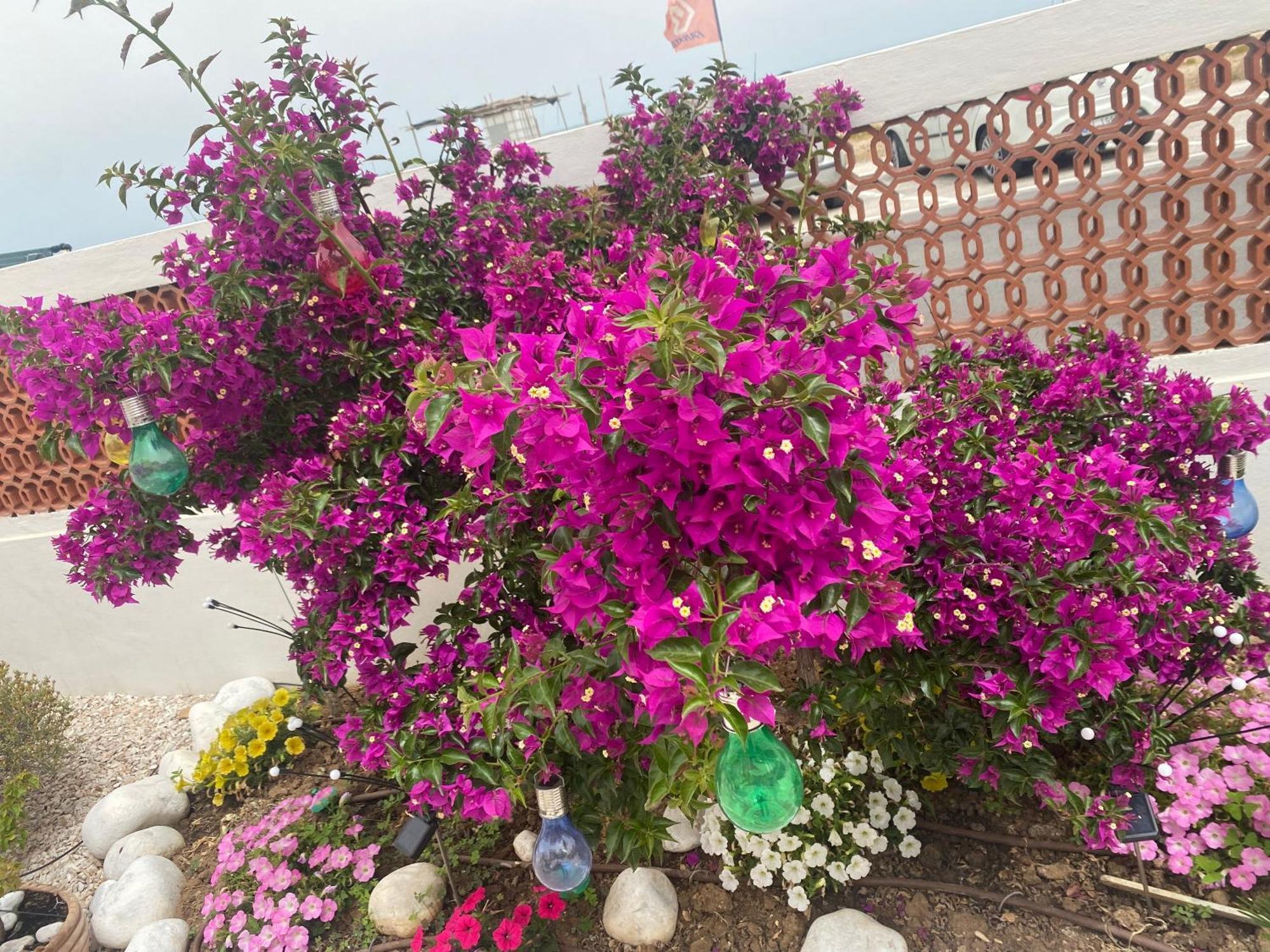 Maison Armandi 몬테마르치아노 외부 사진